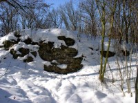 zbytek cihelné zdi hradu Mydlovar