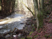 Konopišťský potok nad osadou Měsíční údolí - jaro