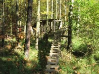 překážková dráha v lese za Kojeticemi