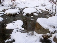 mlecí kameny v řečišti Zvánovického potoka