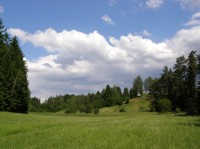 krajiva z cesty na Valdštejnsko