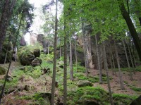 skalní masiv z pěšiny od obce Podháj