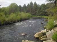 Řeka Křemelná na Šumavě