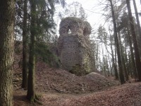 Slavkovský les a zřícenina hradu Kynžvart
