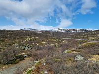 Obrázky z Norska – Národní park Dovrefjell