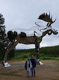 Když už nablýskaný nerezový los Storelgen nedaleko obce Stor-Elvdal viděl naše boty od firmy Northfinder, tak proč se mu nepochlubit i tričkem.