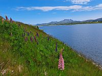 Obrázky z Norska – Lofotruna a Nasjonale turistveger