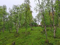 Obrázky ze Švédska – pomník Hjalmara Lundbohma u kostela v Kiruně