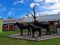 Obrázky ze Švédska – Arvidsjaur