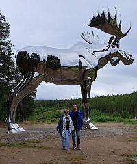 Další zastávka je dopředu jasná. Musíme zkontrolovat, jak se daří losovi, kterého jsme objevili před dvěma lety nedaleko obce Stor-Elvdal při odpočívadle Bjøråa rasteplass u hlavní silnice č.3.