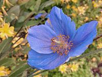 V příjemném prostředí botanické zahrady se nám líbí.