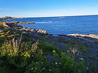 Ještě štěstí, že jsme sem zavítali nyní. Golfský proud podle vědců slábne a za deset tisíc let může být zcela vypnuto ústřední vytápění Lofot.