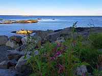 Na mnoha místech spatřujeme bujnou vegetací, která má většinou ráz nízkých a vlhkomilných bylin a skalek.