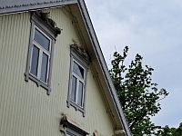 A když už tady jsou, tak si vybudovali svá hnízda na střechách domů, parapetech oken i na všech možných a nemožných místech.