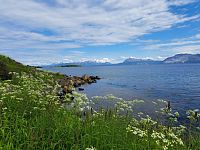U kostela Trondenes Kirke končí naše putování na sever. Tam někde o dva tisíce kilometrů dál se dají tušit obrysy Špicberků a ještě o „kousek“ dále je severní pól. Ale tam se vydáme až někdy příště. Pro tentokrát se z nás nestanou polární badatelé.