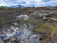 Také dnes se během cesty procházíme, rozhlížíme a fotografujeme.