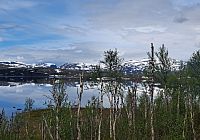 Jezero Torneträsk se zelenými ostrůvky a s březovým porostem na březích. Jedná se o sedmé největší jezero Švédska a současně druhé nejhlubší v této zemi.