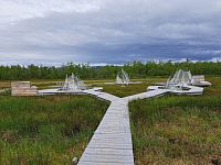 Sensing the Arctic je zajímavá instalace umístěná na permafrostovém bažině poblíž obce Abisko. Jedná se o společný projekt umělců a Centra pro výzkum dopadů klimatu ve spolupráci s Naturum Abisko a Švédskou turistickou asociací.