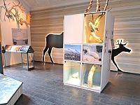 V infocentru se dozvídáme se mnohé, jenom ne to, že je venku neskutečné množství otravných bodavců, žahavců a hryzavců. V létě je jim tady dobře. Trvale zmrzlá půda zabraňuje vsakování vody a krajina se mění v bzučící spleť mokřadů.