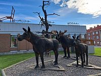 Pro další přespání volíme Arvidsjaur, což je obec v kraji Norbotten, stále ještě v provincii Laponsko.