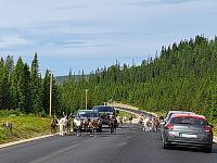 Při úterním ránu pokračujeme v krasojízdě a brzy máme opět společnost.