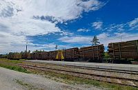 Zatím ještě mají ve Švédsku hodně lesů, ale ten vlak s kmeny je tuze dlouhý. Po těchto kolejích vozí také lidi. Lehátkový vlak „Arctic Circle Train“ jede ze švédského Stockholmu do norského Narviku, což je asi 1400 kilometrů.