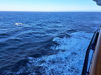 Balancujeme na palubě a hledáme půdu pod nohama. Nakonec ale v kajutě přicházíme na to, že to houpání vlastně uspává, jako kolébka.