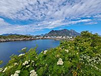 Kdyby snad nebylo něco jasného v mém vyprávění, ptejte se. Žádná otázka není hloupá ani špatná. Pokud budu znát odpověď, rád se o ni podělím.