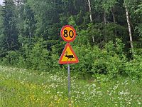 Každou chvíli vidíme dopravní značku, kterou u nás nemáme. Trojúhelník se siluetou zvířete nabádá k opatrnosti před setkáním s ním.