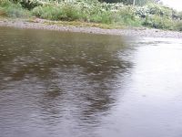 Hospůdka V Oudolí u Turnova