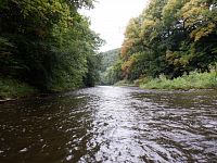 Jizera teče zvlněnou krajinou a díky Českému ráji by mohla nabízet zajímavé panoramatické pohledy, kdyby nebyly břehy zvýšené a zarostlé.