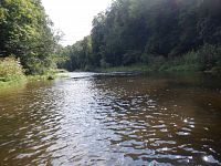 Chvíli to příjemně teče, aby záhy voda zpomalila u silničního mostu (km 56,8).