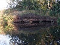 Vzpomínáme na dobu našeho vodáckého mládí, kdy voda v řekách nespěchala a tekla i celý týden a dny byly tak kouzelně dlouhé.
