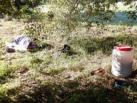 Řeka a vše kolem ní se probouzí, jenom Max ještě spí. Nevzbudí ho ani cinkot křišťálů rosy na stéblech trávy.