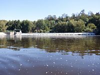 Řeka je v těchto místech stejně líná a poklidná jako dnešní horký letní den.