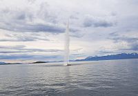 Selsbanes Seil ve městě Harstad je nejvyšší fontána v Norsku. Pojmenována je po Asbjørnovi Selsbaneovi, jednom ze slavných Vikingů v tomto regionu.