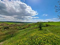 PP Bohuslavické stráně