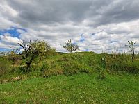 PP Bohuslavické stráně