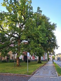 Bělá pod Bezdězem a kostel sv. Václava