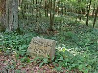 Zajímavý silniční rozcestník (ukazatel) nedaleko obce Skryje