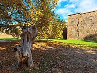 Hradní (zámecký) park.