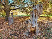 Hradní (zámecký) park.