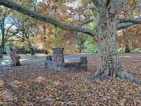 Hradní (zámecký) park.