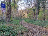 Úplná džungle to není, chodit tady lze. Ale jízdu na kolečkových bruslích je potřeba zakázat???