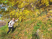 Poetická krajina je půvabná a přehledná, prostě lidská. Ale náročná. Opět se ukazuje, že ne každá zkratka je nejkratší a nejrychlejší.