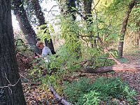 Odměnou nám je ale vzduch prosycený vůněmi.