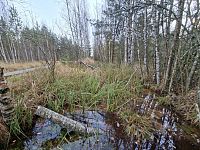 Listopadová Šumava nás vítá studeným, až ledovým pohledem. Naštěstí příroda hrající všemi barvami brzy promluví, nám se zrychlí dech a zimu už vnímáme z jiného pohledu.