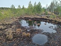 Vydáváme vstříc hezké přírodě a divům čarokrásné Šumavy, která nás vždy uchvátí svou krásou i tajemstvím.