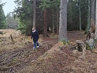 Zda překročila moje ženuška bludný kořen, nevím, ale nezabloudili jsme.