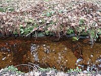Schwarzenberský kanál spojuje povodí Vltavy a Dunaje a tím také úmoří Severního a Černého moře.